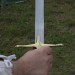 mini-IMG_1276